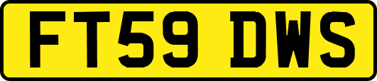 FT59DWS