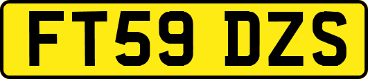 FT59DZS