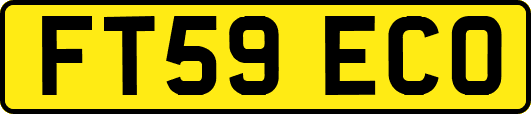 FT59ECO