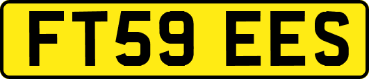 FT59EES
