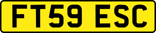 FT59ESC