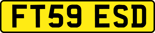 FT59ESD