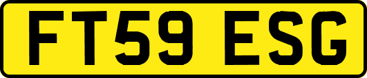 FT59ESG