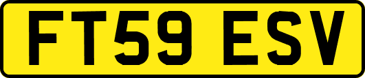 FT59ESV