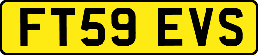 FT59EVS