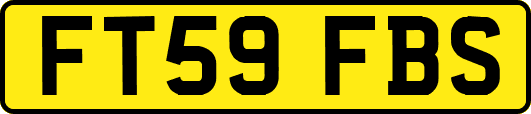 FT59FBS