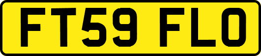 FT59FLO