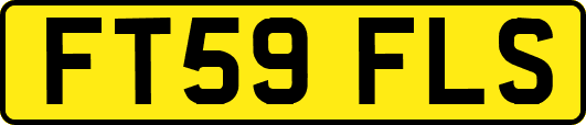 FT59FLS