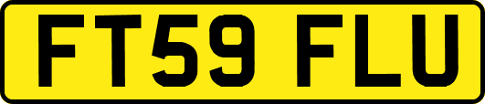 FT59FLU