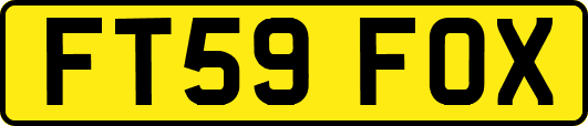 FT59FOX
