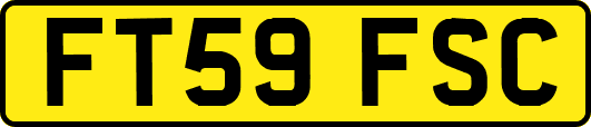 FT59FSC