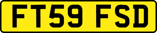 FT59FSD