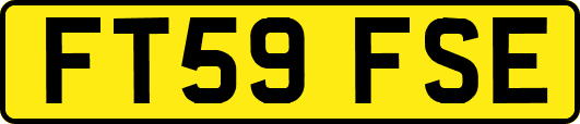 FT59FSE