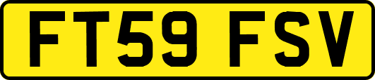 FT59FSV