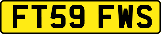 FT59FWS