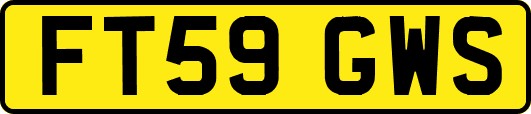 FT59GWS