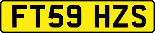 FT59HZS