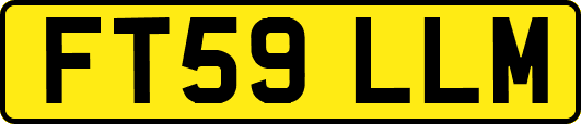 FT59LLM