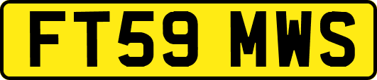 FT59MWS