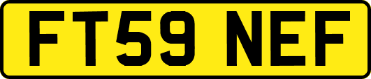FT59NEF
