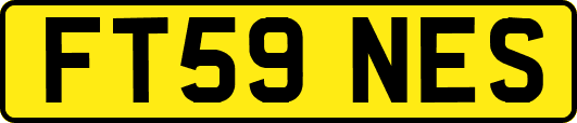 FT59NES