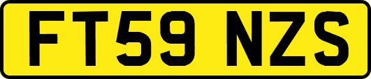 FT59NZS