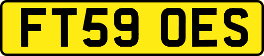 FT59OES