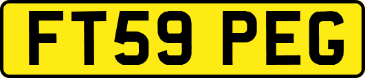 FT59PEG