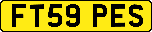 FT59PES