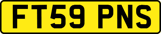 FT59PNS