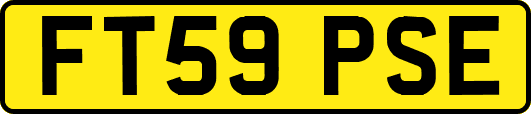 FT59PSE