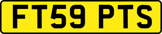 FT59PTS