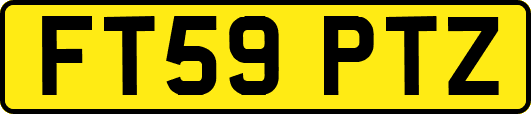 FT59PTZ