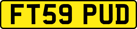 FT59PUD
