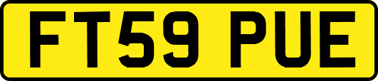FT59PUE