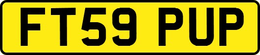 FT59PUP