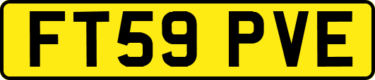 FT59PVE
