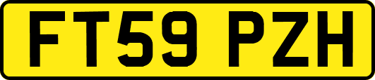 FT59PZH
