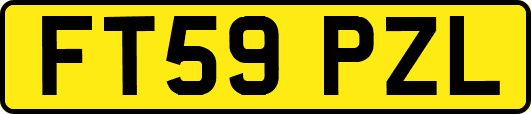 FT59PZL