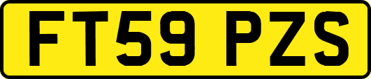 FT59PZS