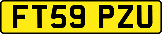 FT59PZU