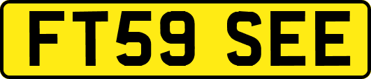 FT59SEE