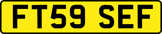 FT59SEF