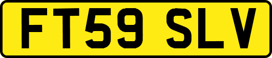 FT59SLV