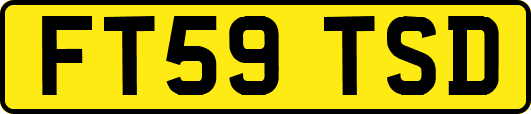 FT59TSD
