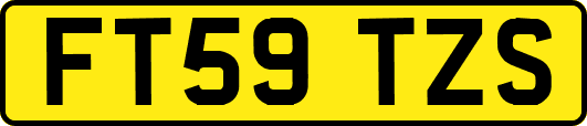 FT59TZS