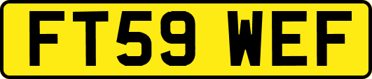 FT59WEF