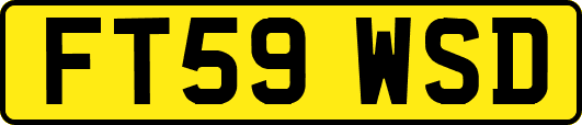 FT59WSD