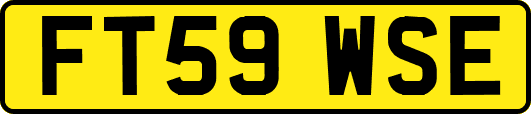 FT59WSE