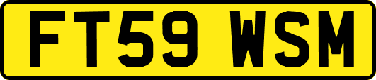 FT59WSM